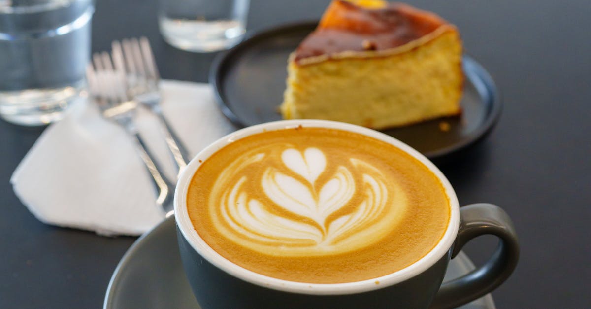 Brunch Spots with Play Areas for Pets in Melbourne