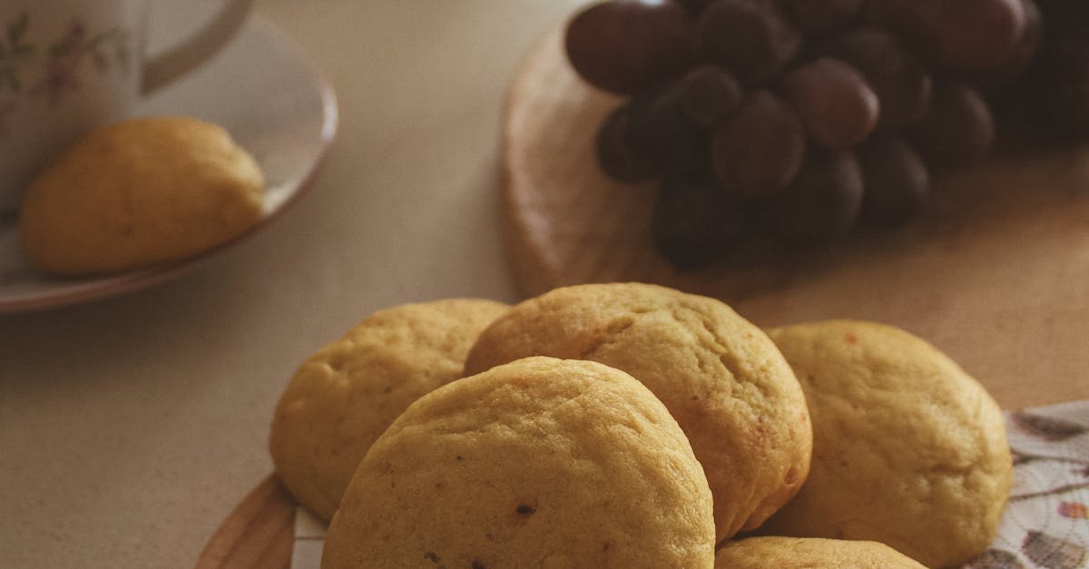 Enjoy Brunch with Your Pet at These Scenic Locations