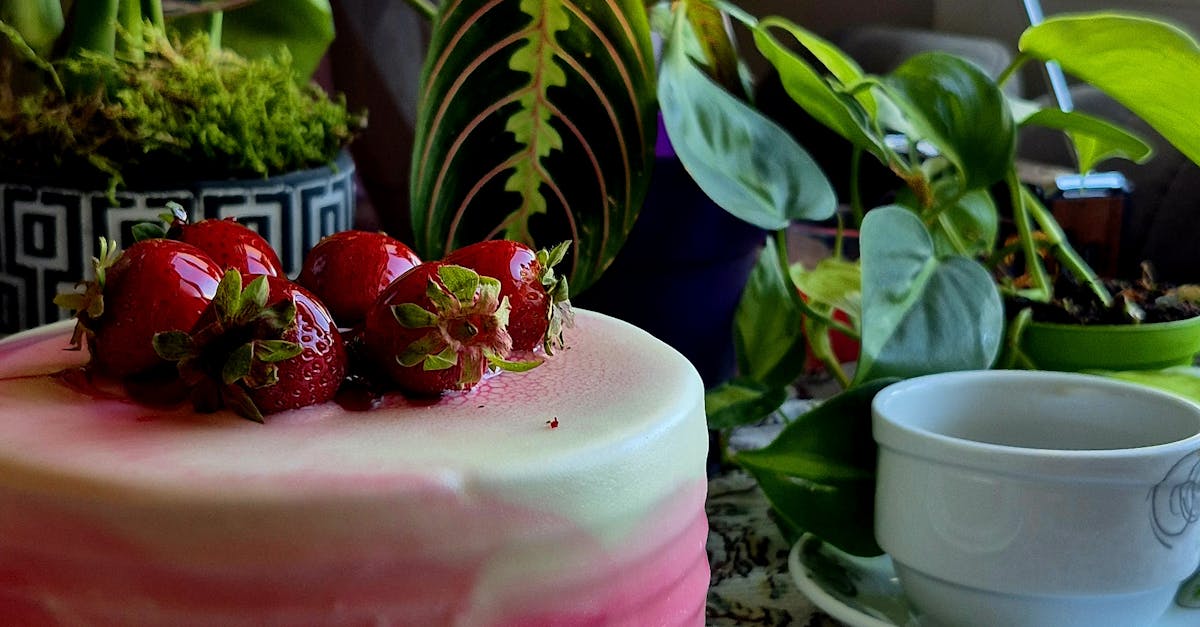 Experience Local Produce at the Melbourne Farm-to-Table Brunch Fiesta