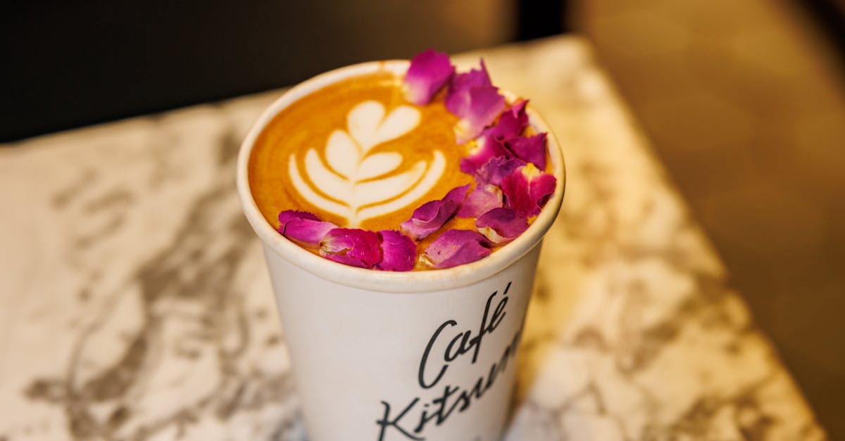 Winter Warmers: Melbourne's Coziest Brunch Festivals to Embrace